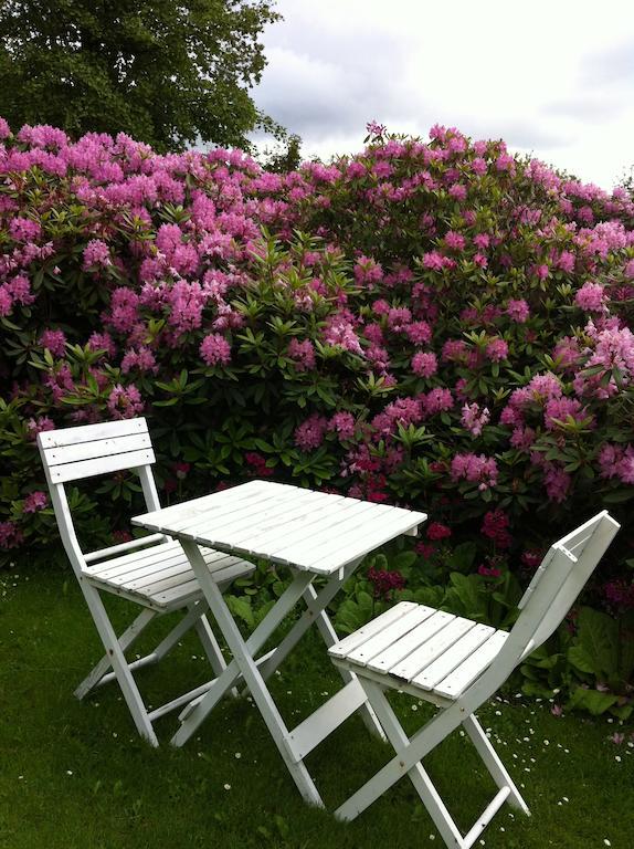 Agerdal Bed & Breakfast Villa Nykobing Mors Exterior photo